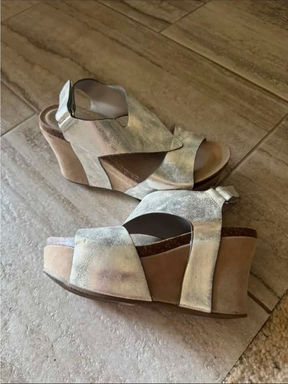 Wedge Sandals in Metallic Beige/silver for Women